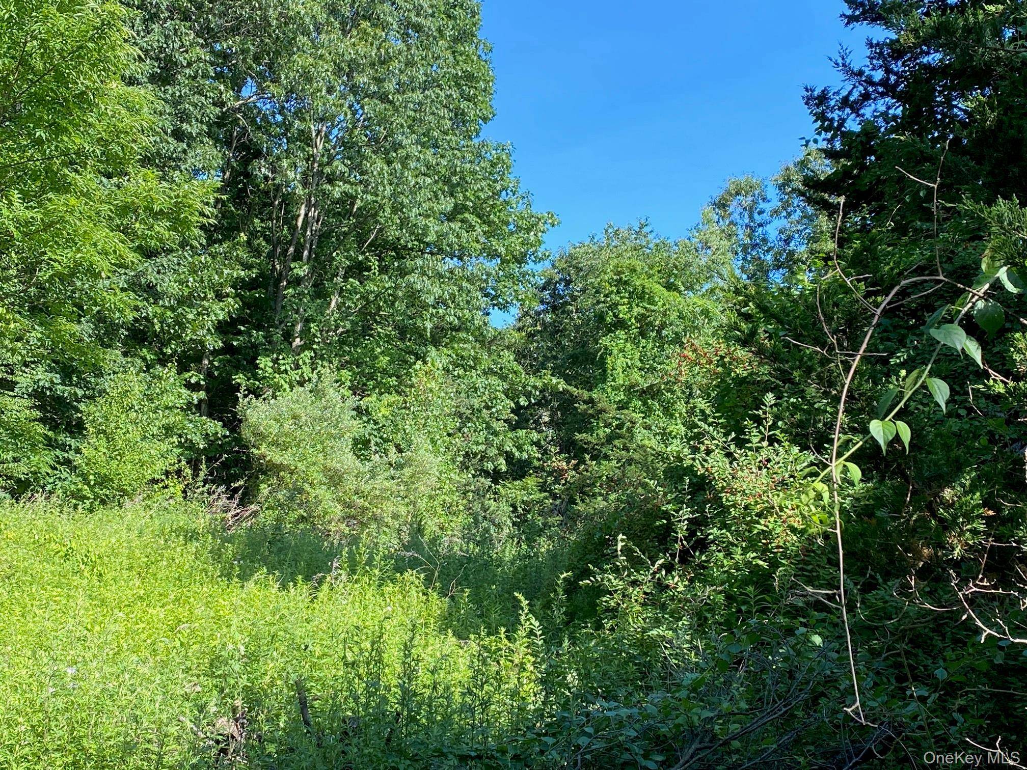 Jerry, Wassaic, NY 12592