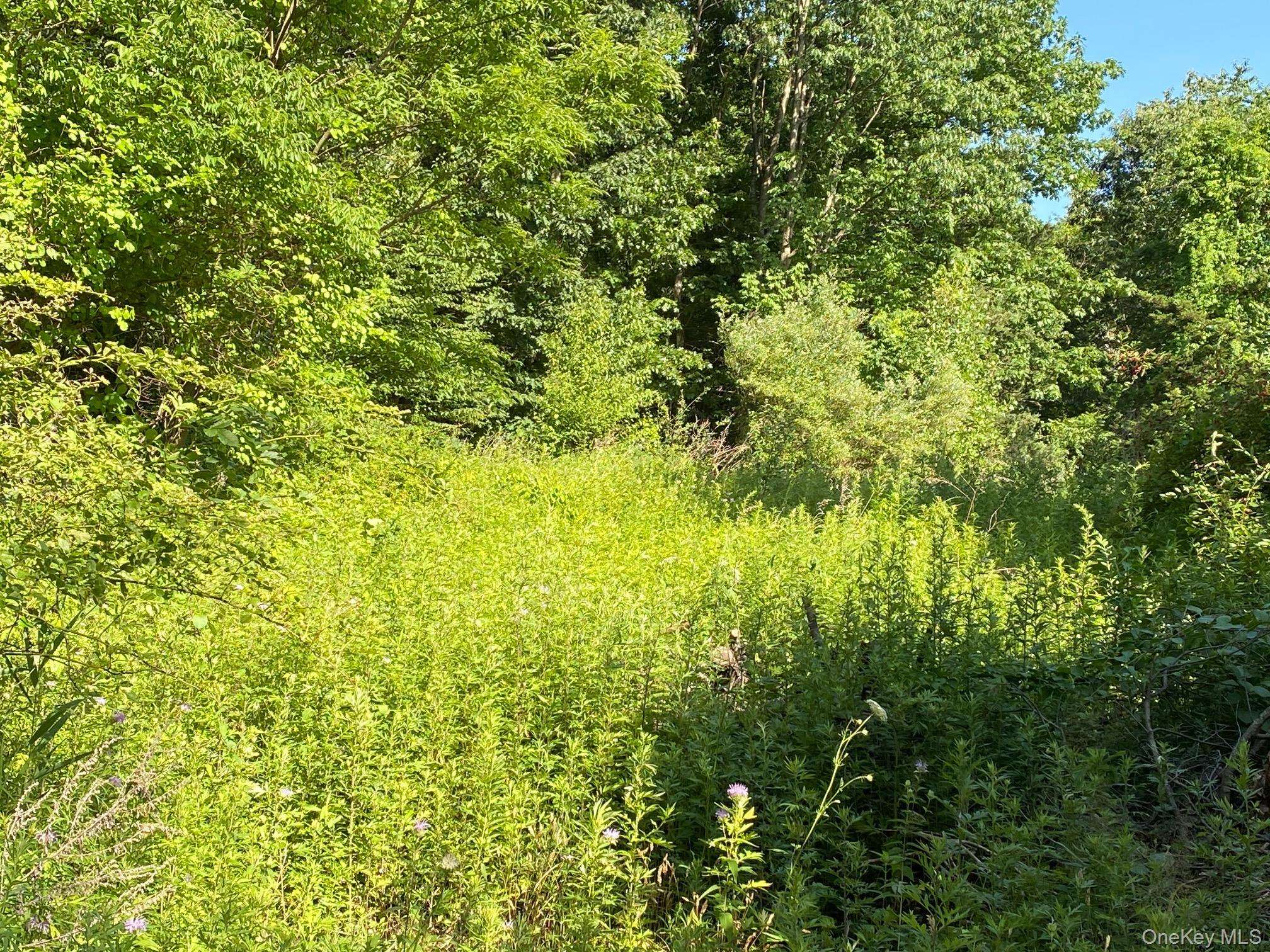 Jerry, Wassaic, NY 12592