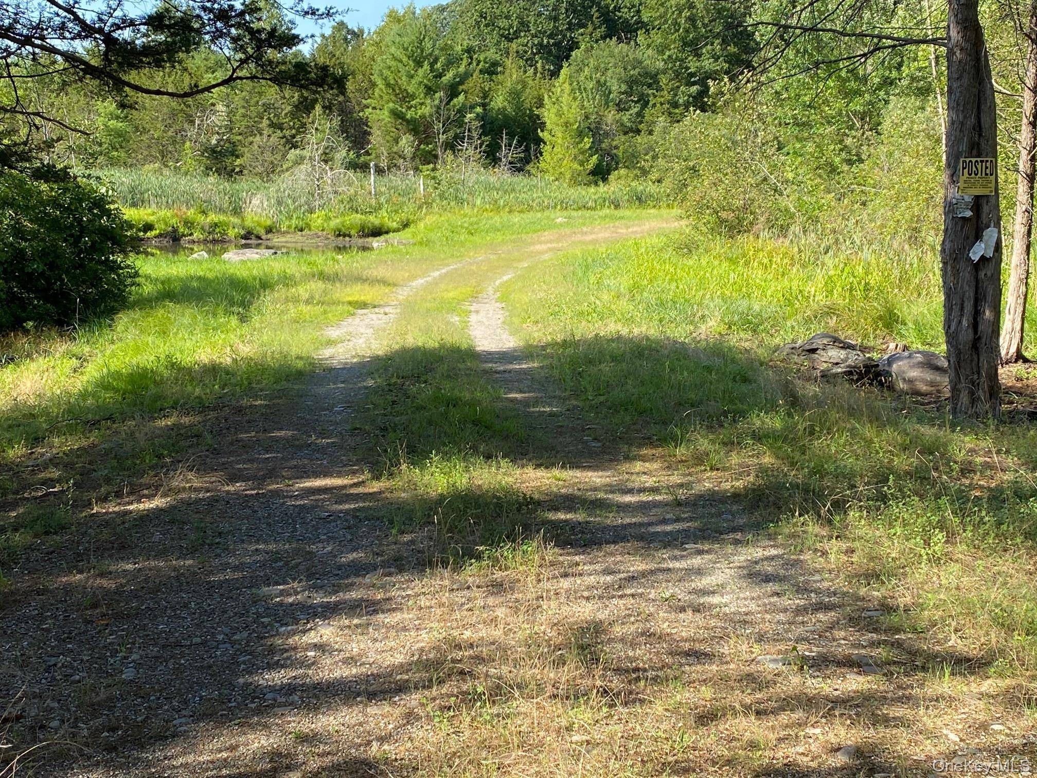 Jerry, Wassaic, NY 12592