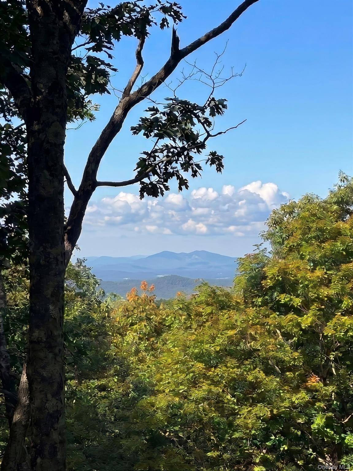 400 Mercer Mountain RD, East Chatham, NY 12060