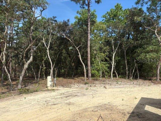 8454 SW 138TH TER, Dunnellon, FL 34432