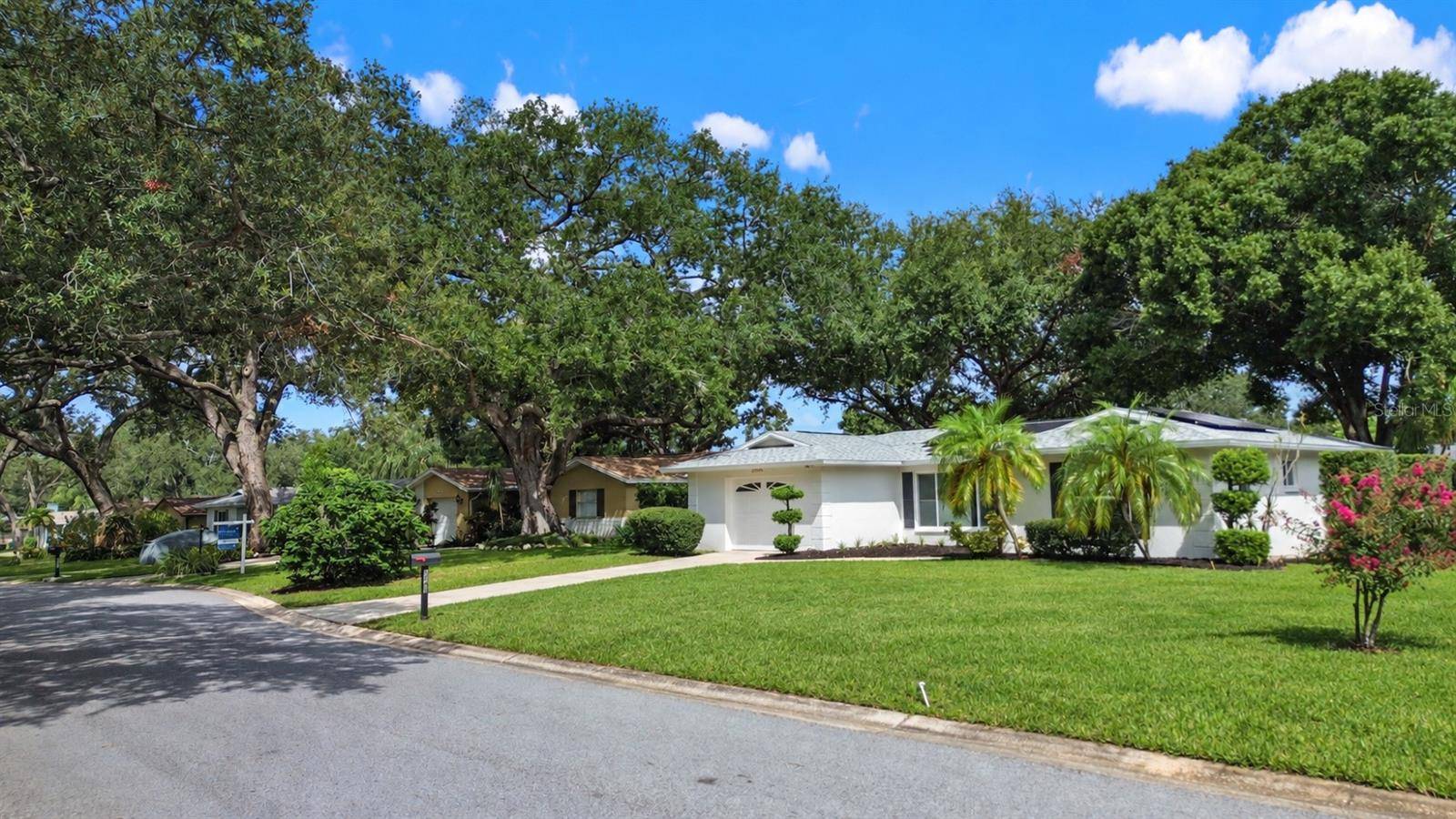 2040 FOREST DR, Clearwater, FL 33763