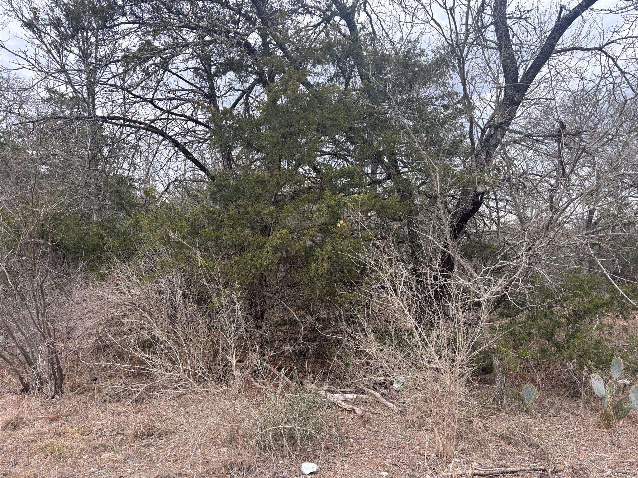 TBD Pearson RD, Cedar Creek, TX 78616