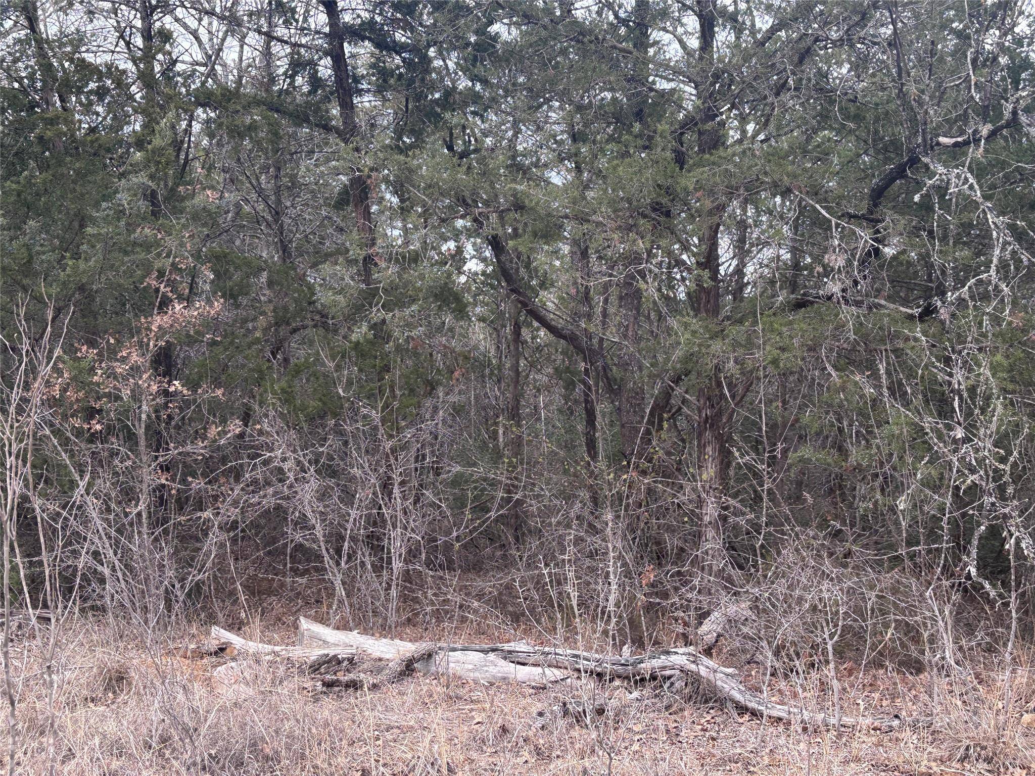 TBD Pearson RD, Cedar Creek, TX 78616