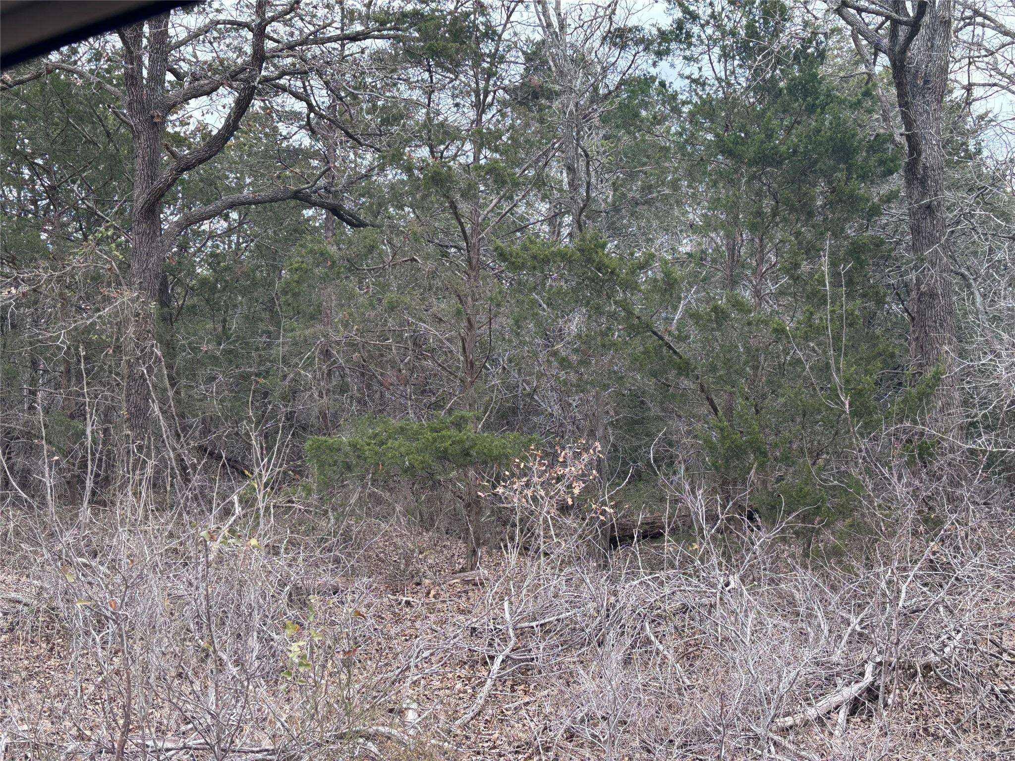 TBD Pearson RD, Cedar Creek, TX 78616
