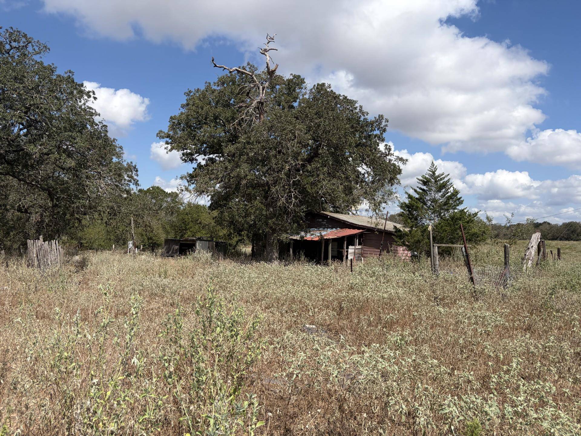 3233 Mule Creek RD, Harwood, TX 78632