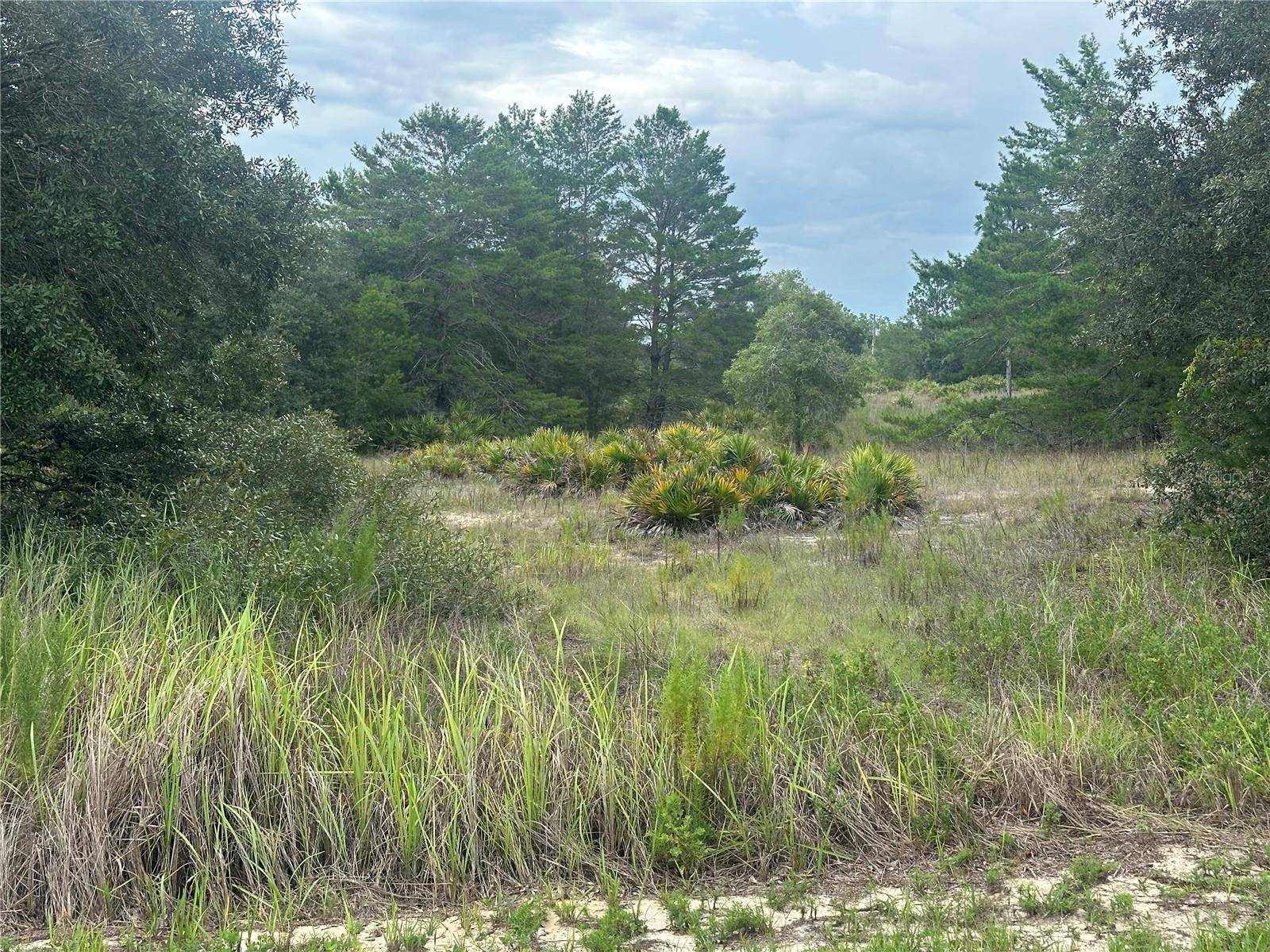 6977 S RAINBOW PT, Homosassa, FL 34446