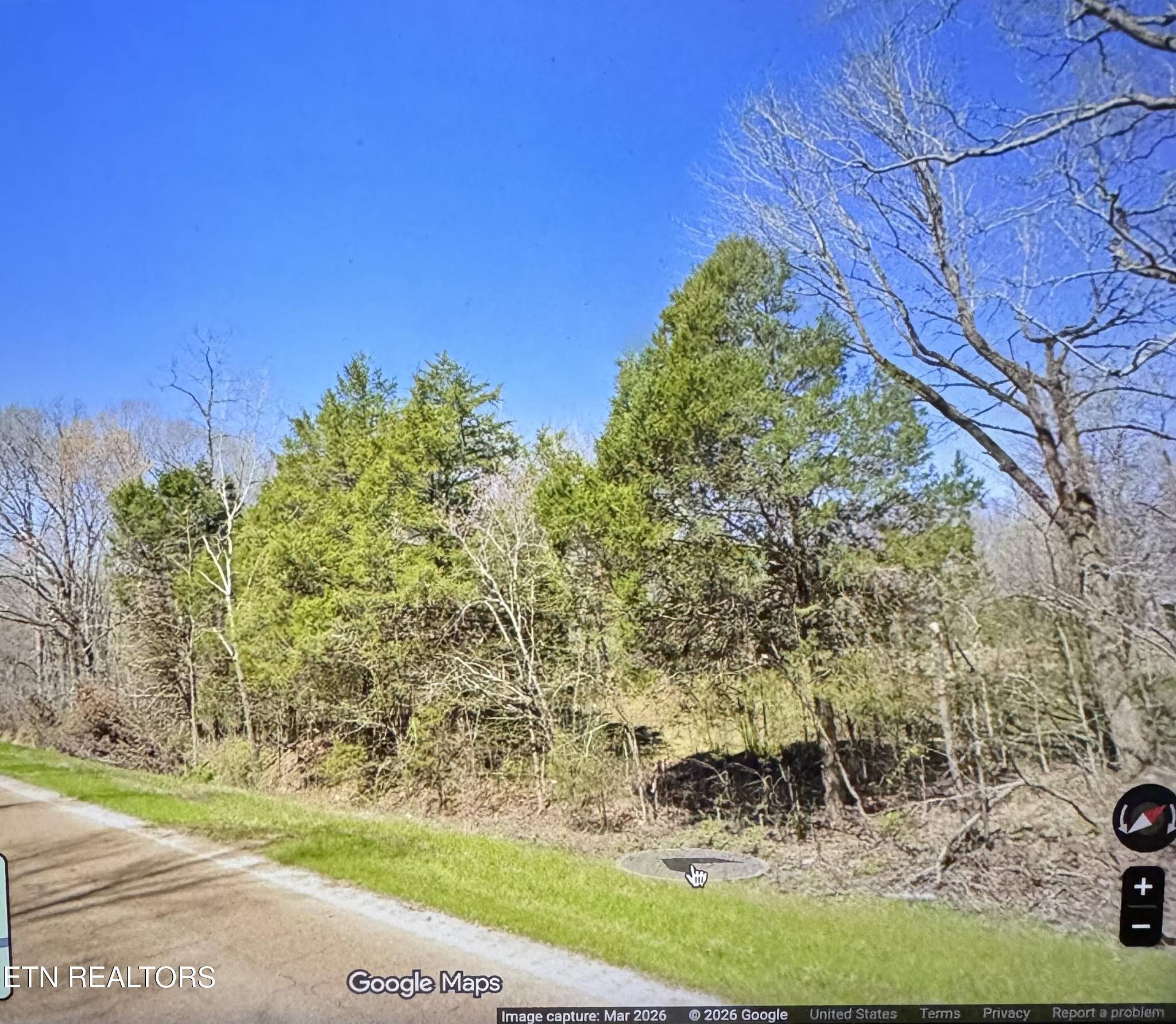11025 Highway 100, Toone, TN 38381