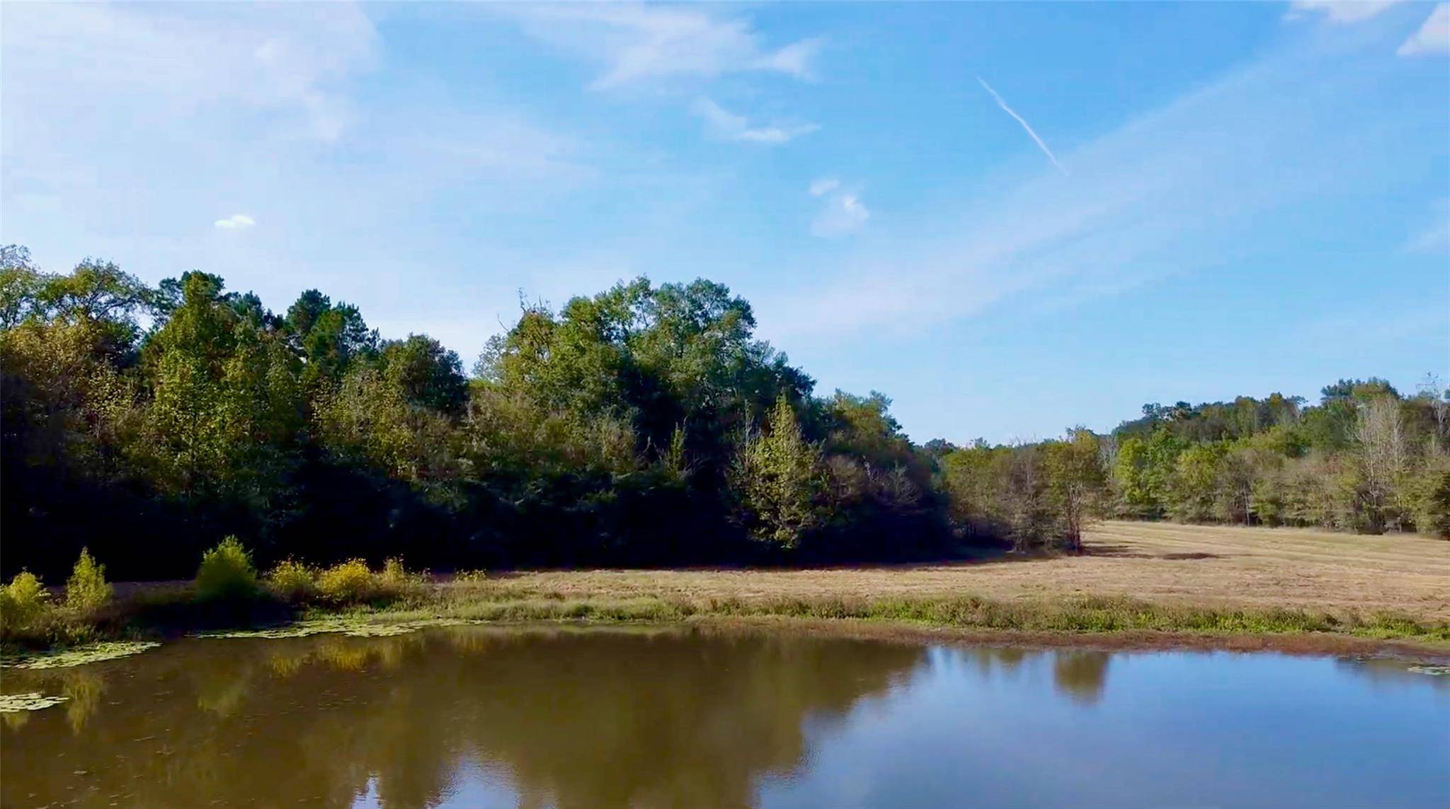 TBD County Road 4025, Lovelady, TX 75851