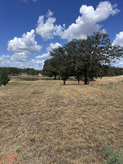 Lot 41 -- 109 Baurenhof CT, Fredericksburg, TX 78624