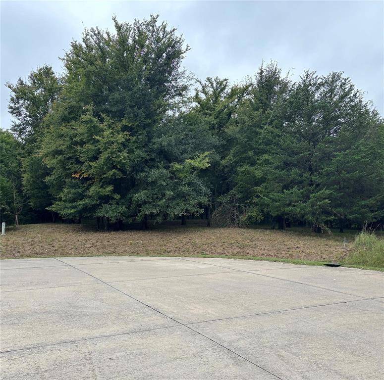 2099 Parkview Drive, Wills Point, TX 75169