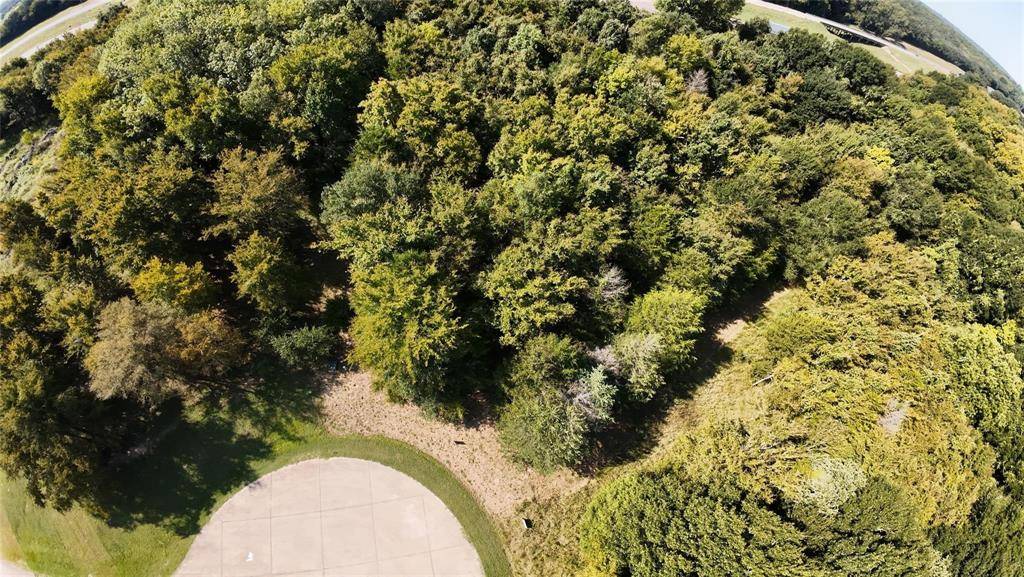 2099 Parkview Drive, Wills Point, TX 75169
