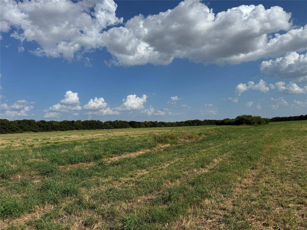 Tract 10, 23.568 Acres County Rd 3700, Leonard, TX 75452
