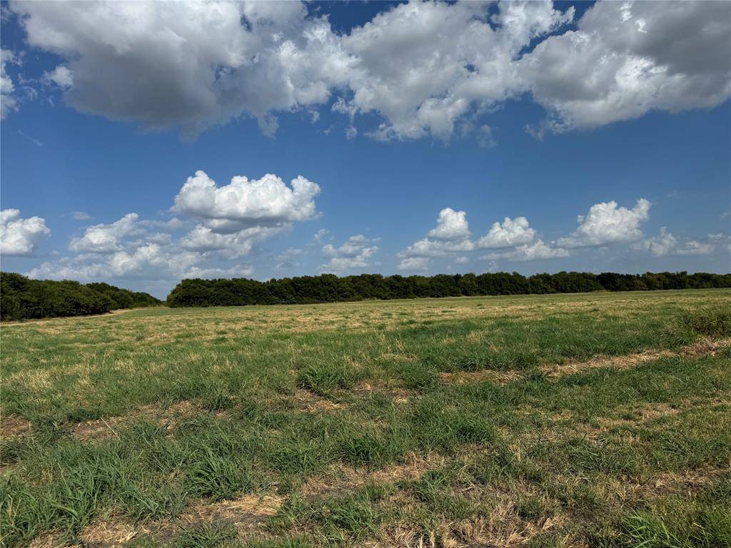 Tract 10, 23.568 Acres County Rd 3700, Leonard, TX 75452
