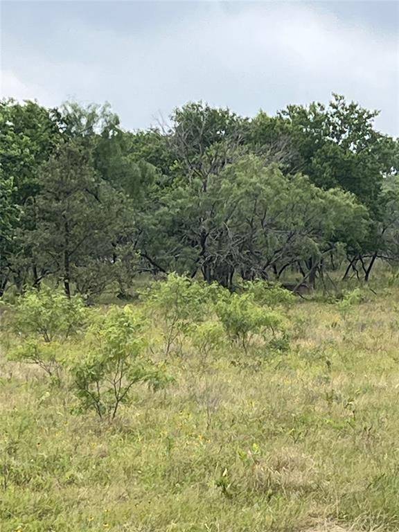 TBD W HWY 84, Mexia, TX 76667