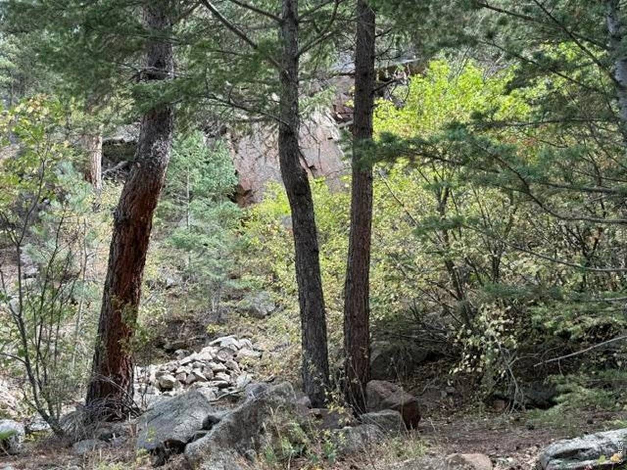 555 Riverside, Lyons, CO 80540