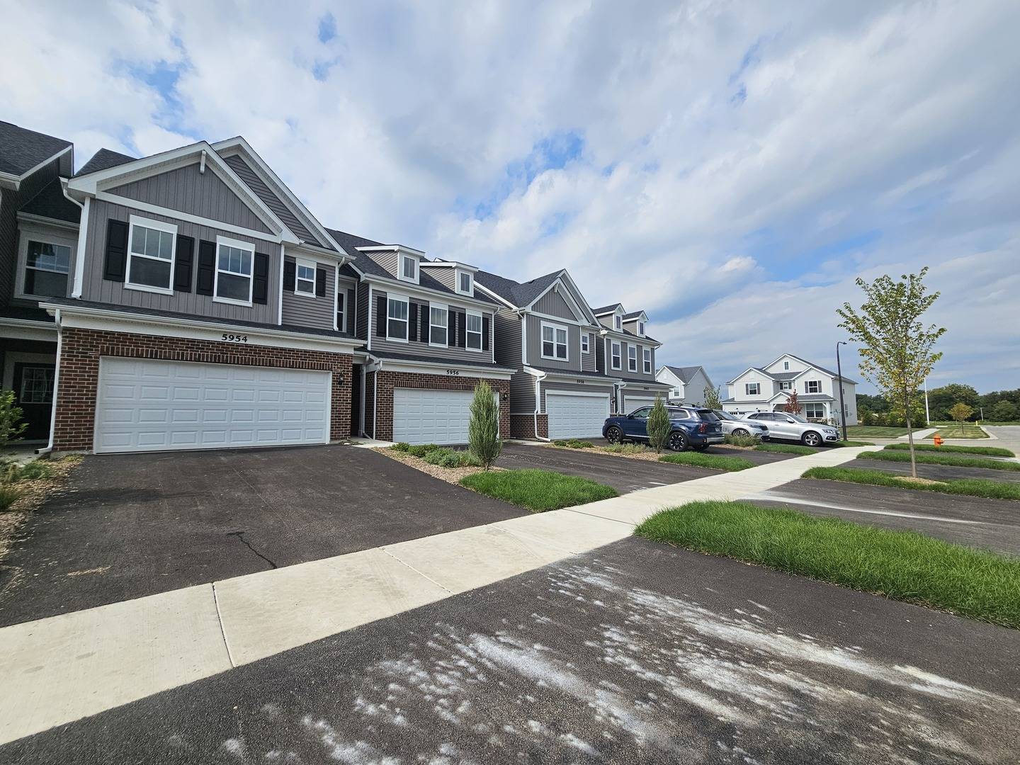 5954 Hawkweed DR #0, Naperville, IL 60564