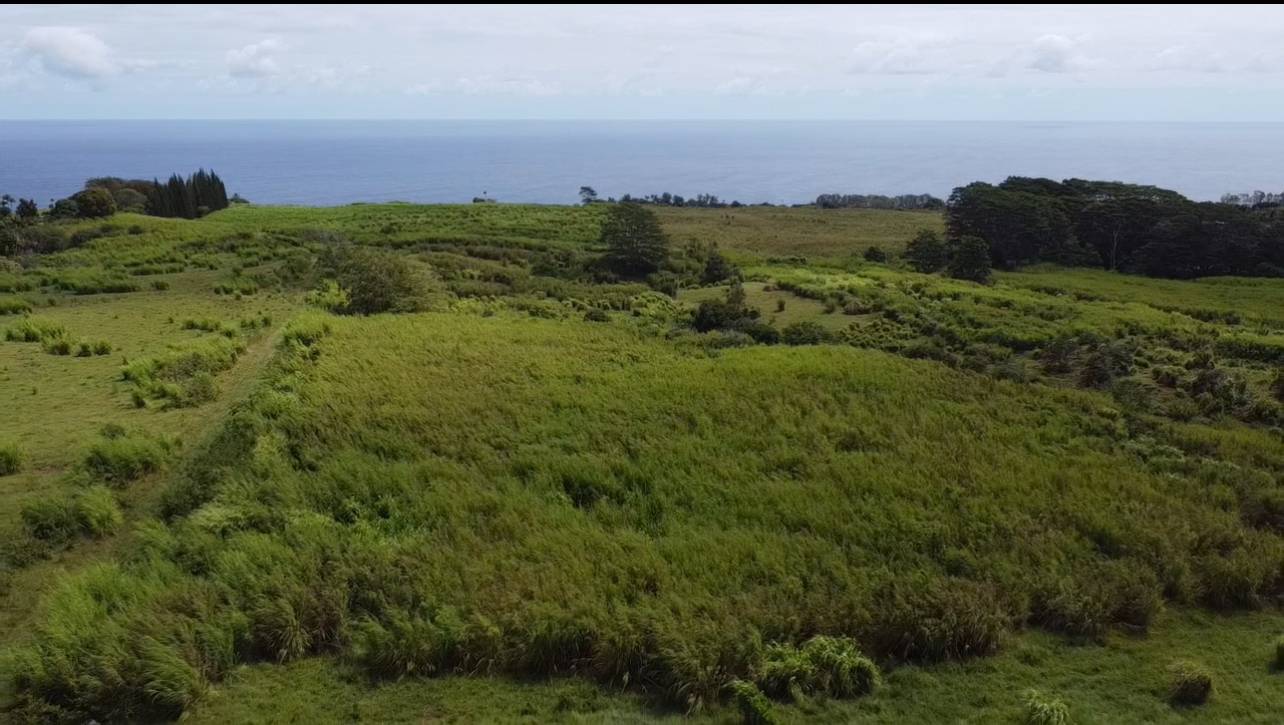 1-3 PRIVATE RD, Hakalau, HI 96710