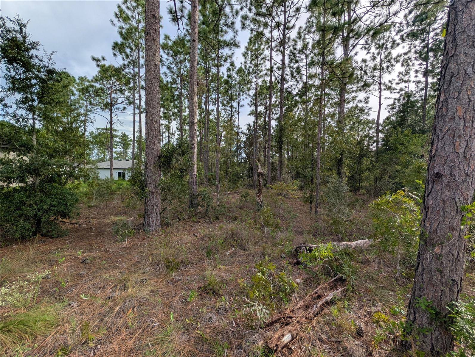 640 W HERONSBILL LN, Citrus Springs, FL 34434