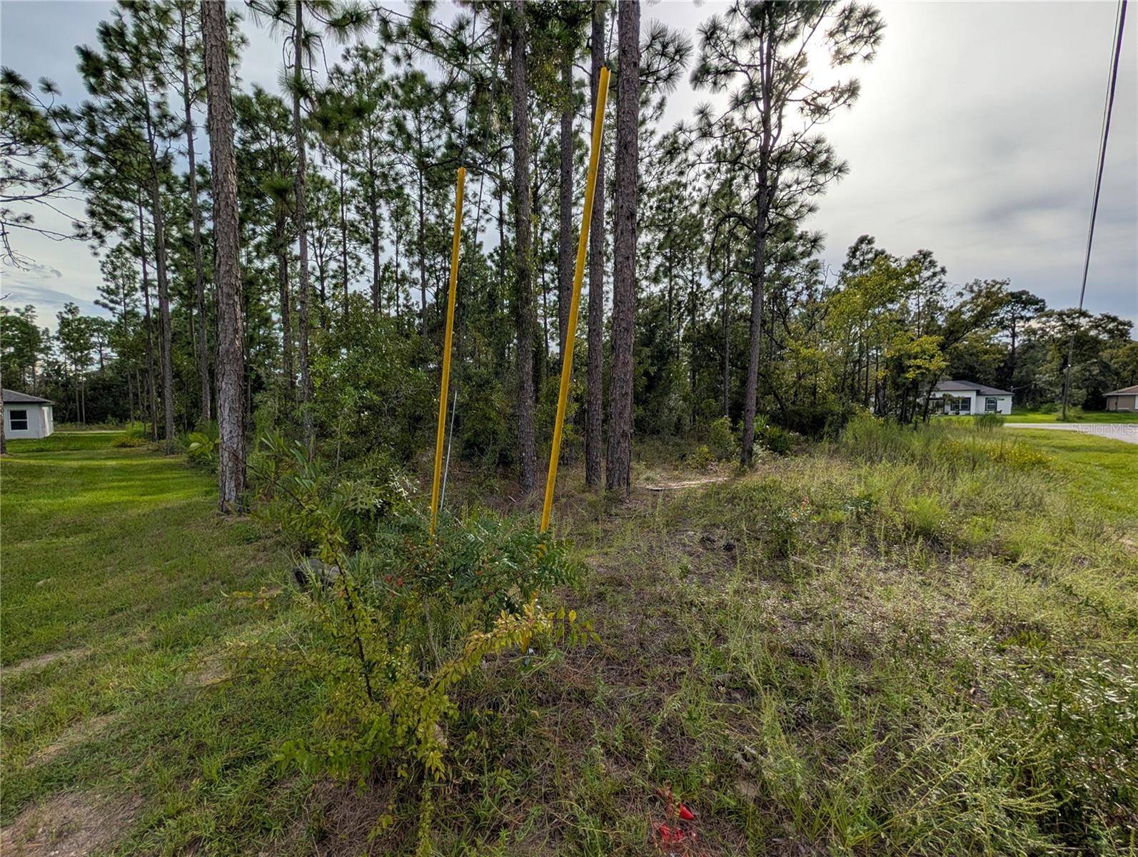 640 W HERONSBILL LN, Citrus Springs, FL 34434