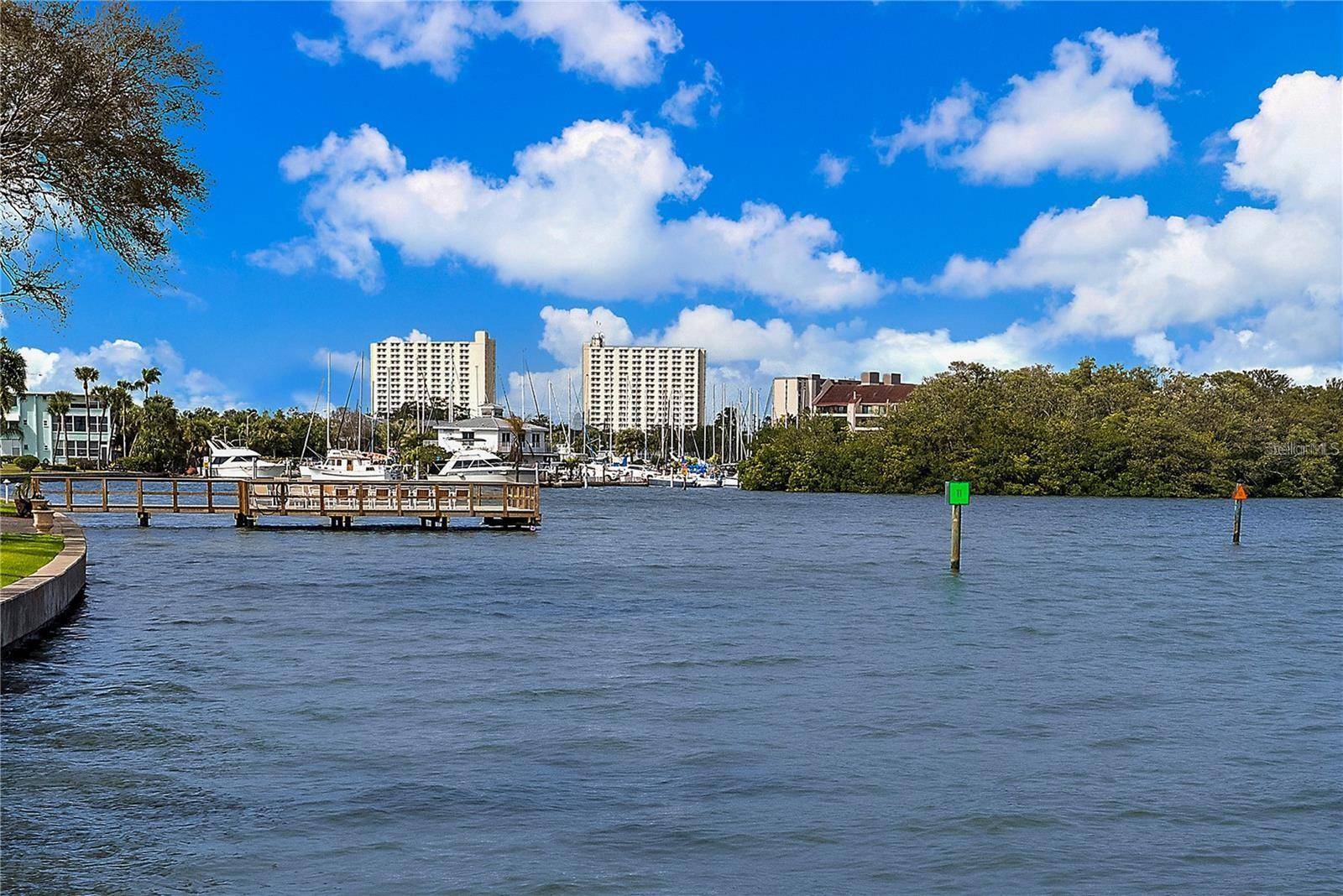 1859 SHORE DR S #309, South Pasadena, FL 33707