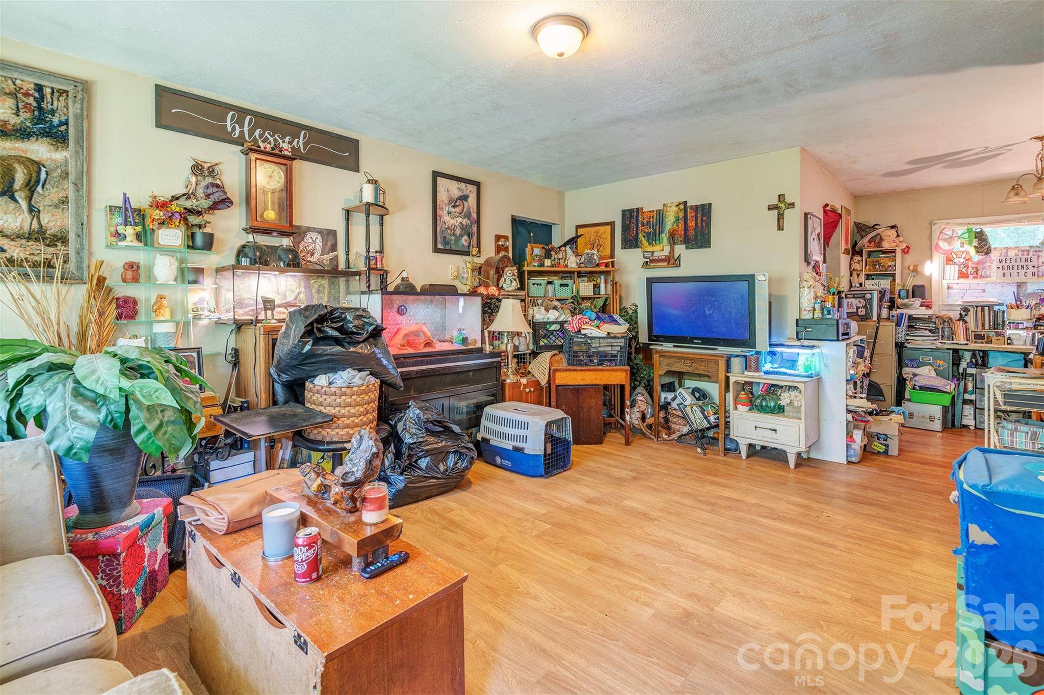 41 and 51 Bird View DR, Clyde, NC 28721
