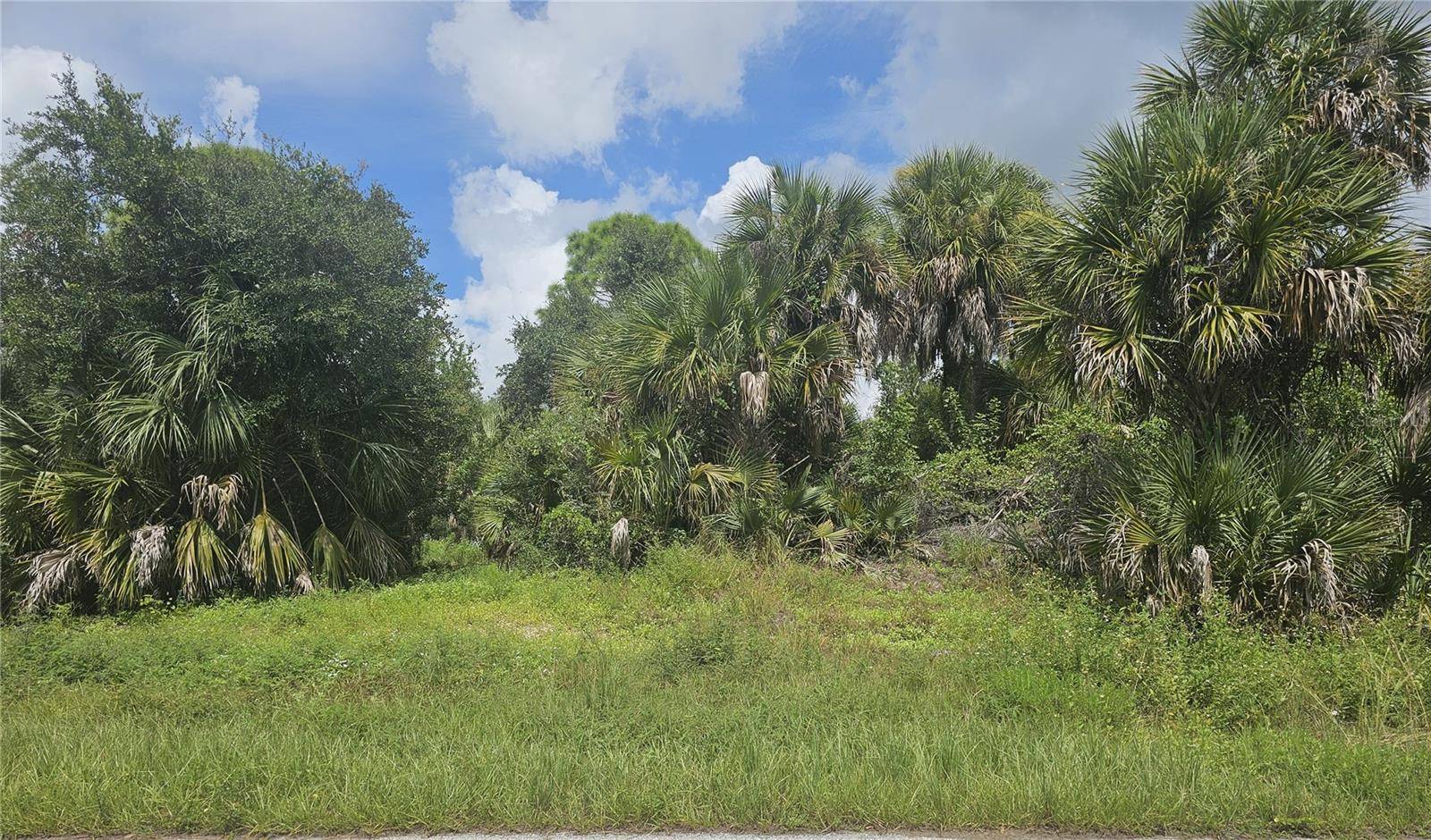 233 PEMBROKE DR, Port Charlotte, FL 33954
