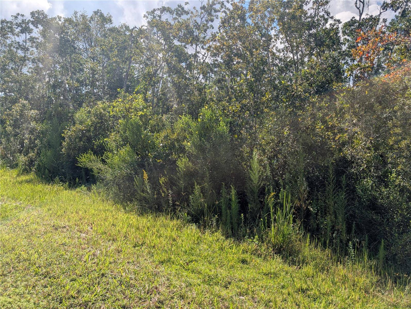 313 BOUGAINVILLE DR, Indian Lake Estates, FL 33855