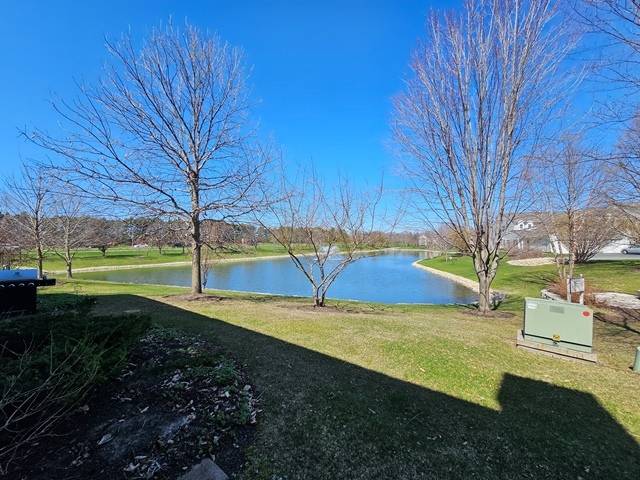 2923 Bartlett CT #2923, Naperville, IL 60564