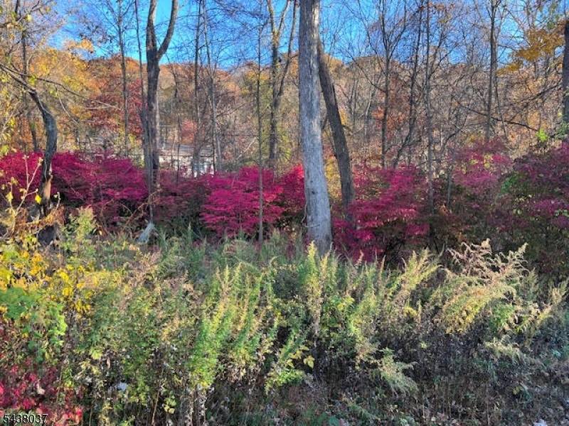 9 Old Woodland Trl, Jefferson Twp., NJ 07438