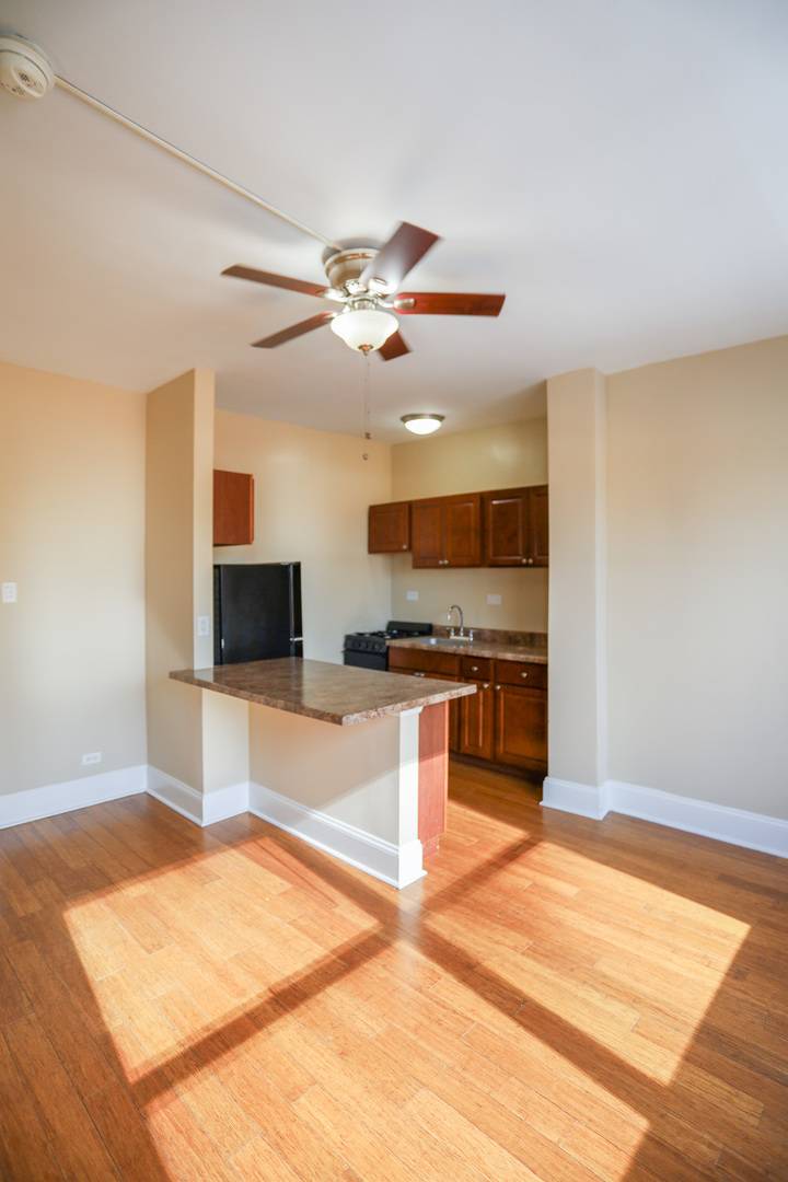 5326 S cornell AVE #210, Chicago, IL 60615