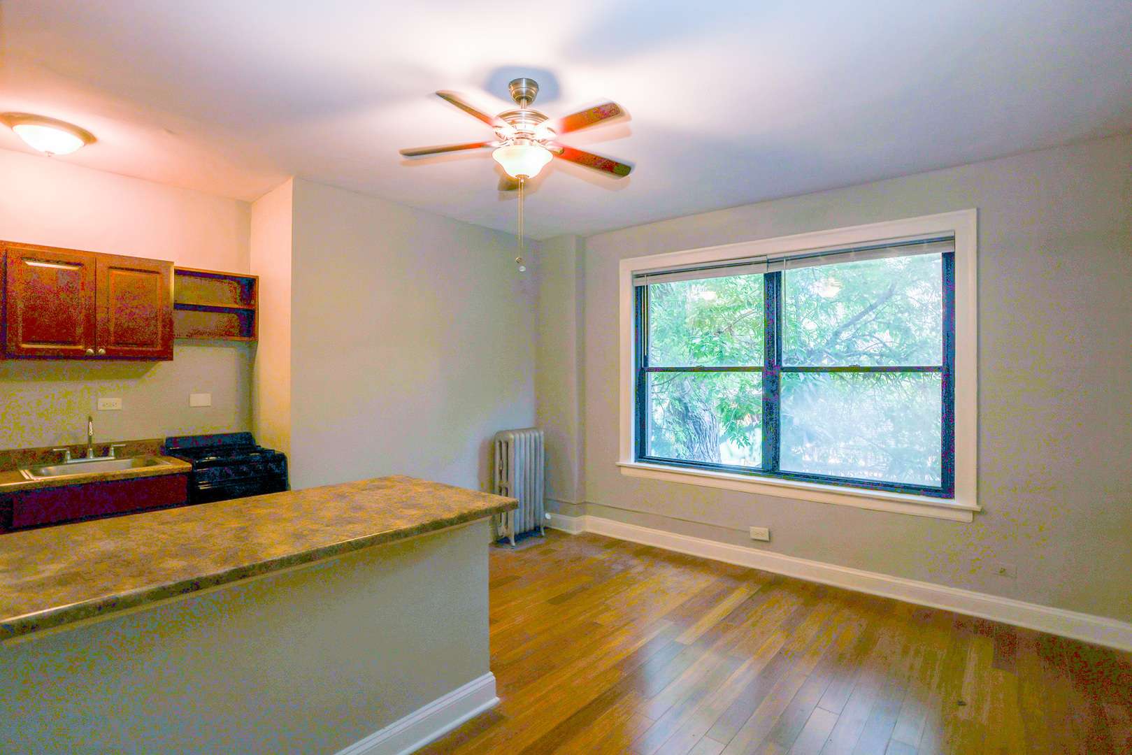 5326 S cornell AVE #410, Chicago, IL 60615