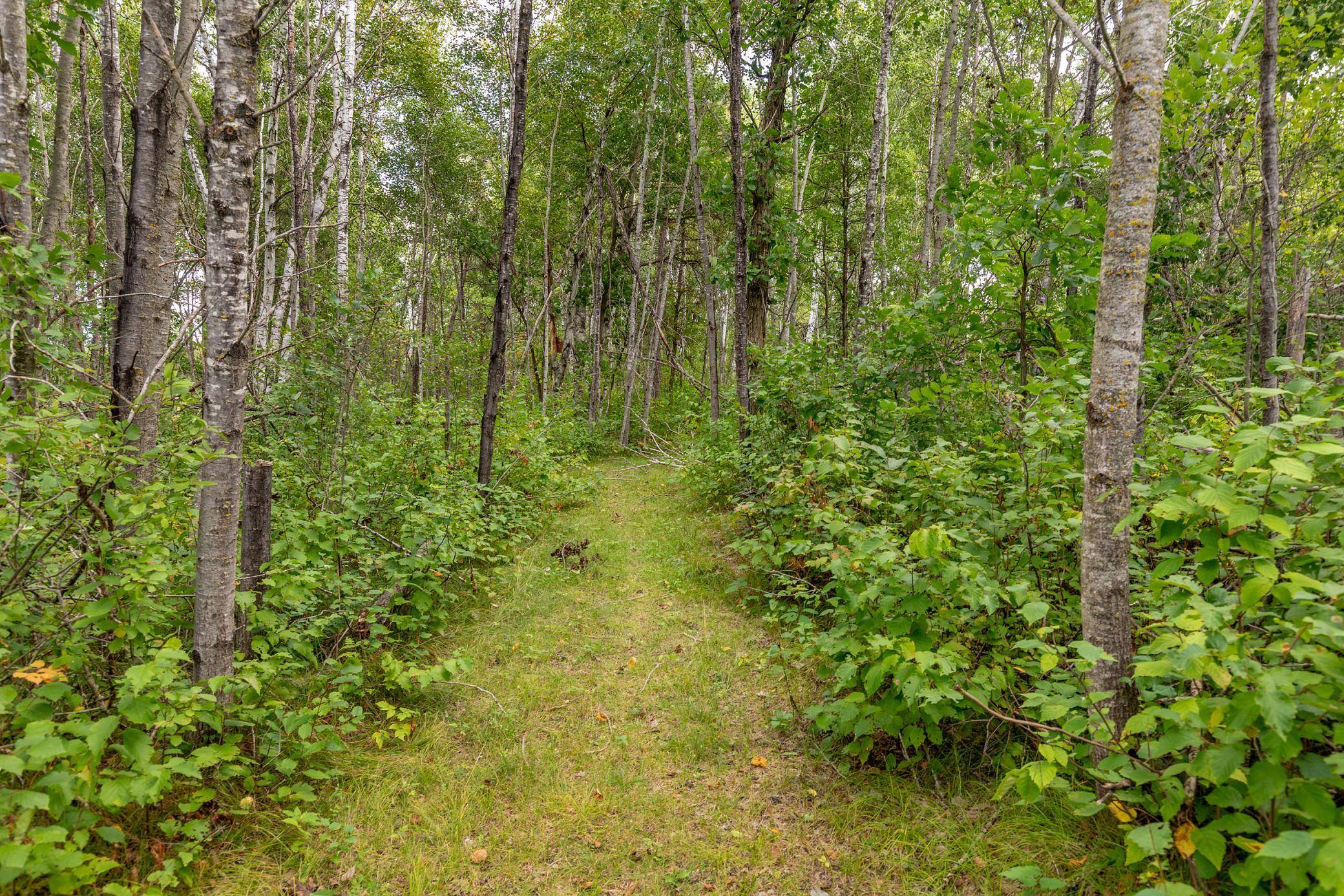 22233 Wilderness DR, Verndale, MN 56481