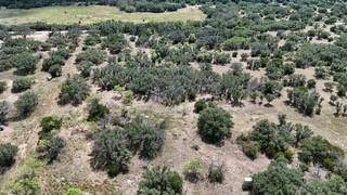 178 County Road 199, Mullin, TX 76864