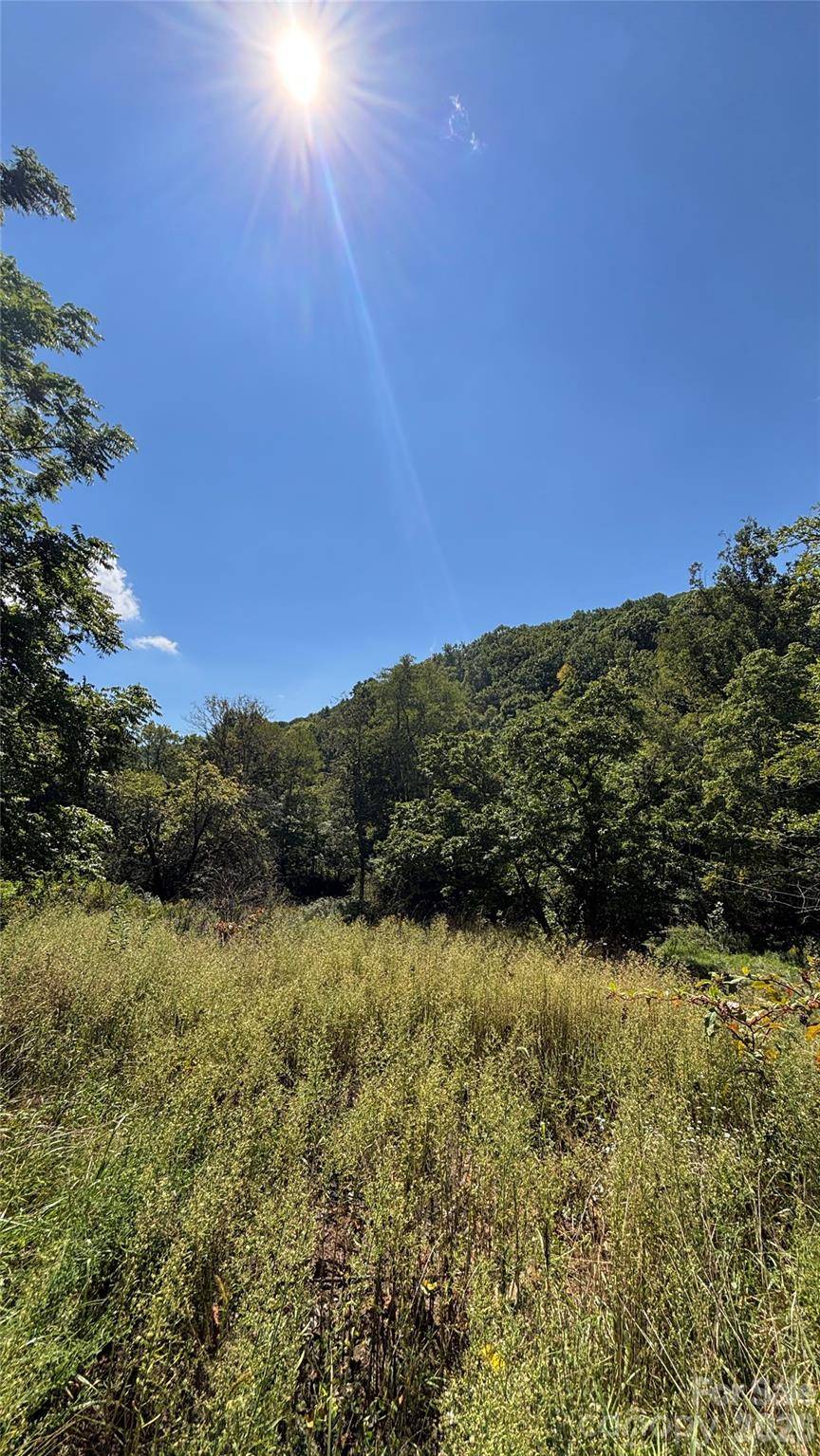 188 Velvis Hollifield RD, Spruce Pine, NC 28777