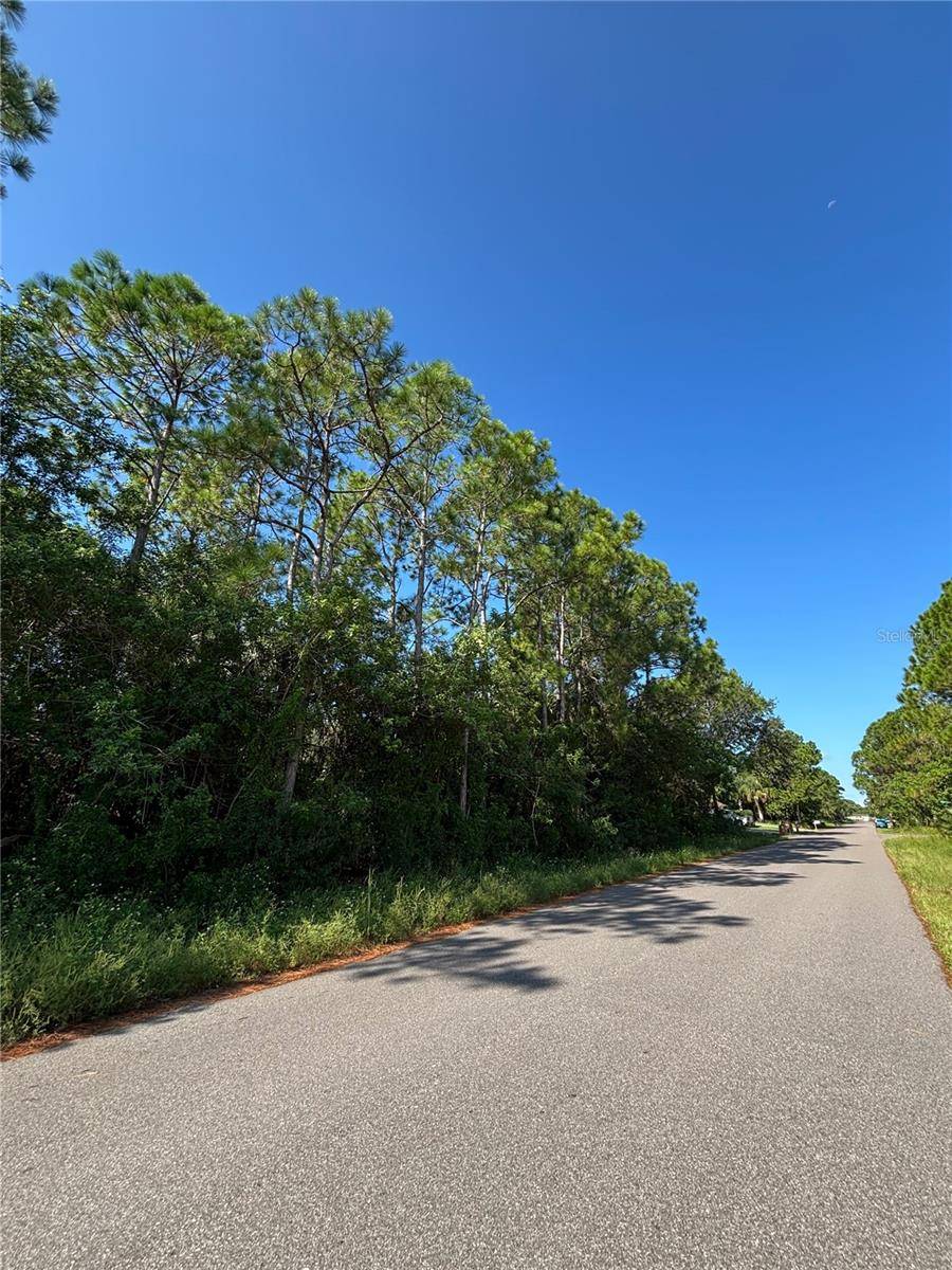 1042 SIBONEY ST NW, Palm Bay, FL 32907