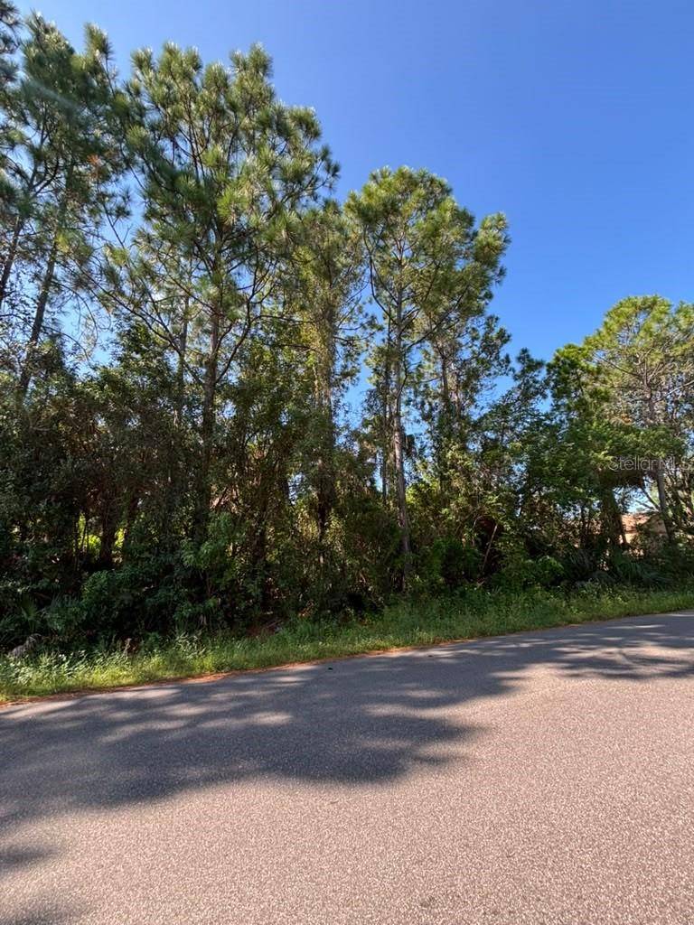 1042 SIBONEY ST NW, Palm Bay, FL 32907