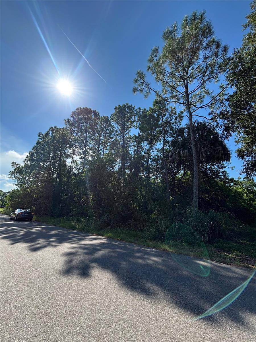 1042 SIBONEY ST NW, Palm Bay, FL 32907