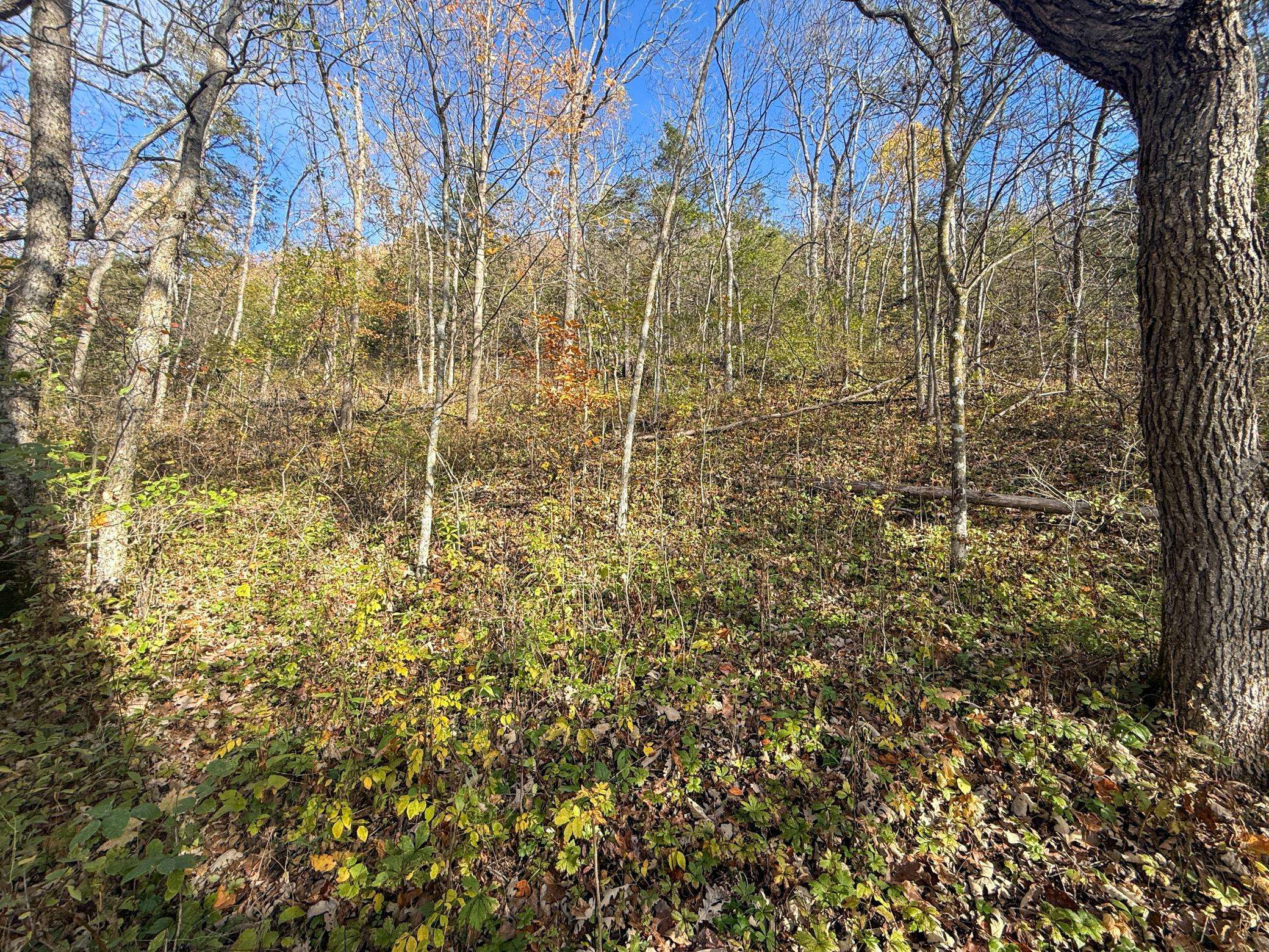 tbd County 26, Houston, MN 55943