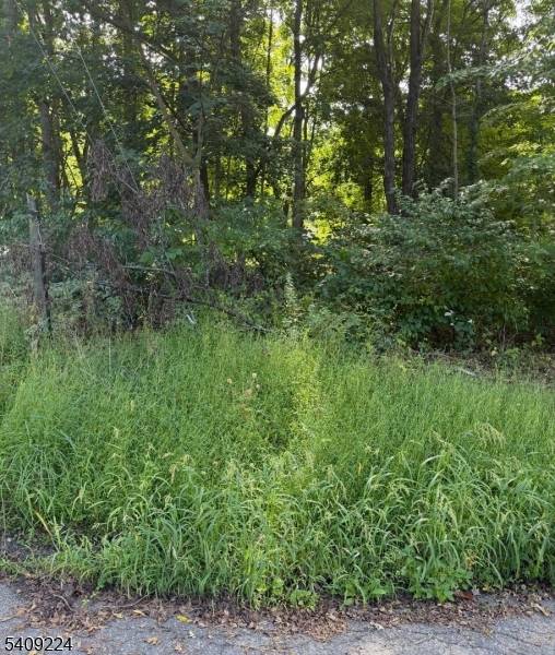 2 Pine Dr, Liberty Twp., NJ 07823