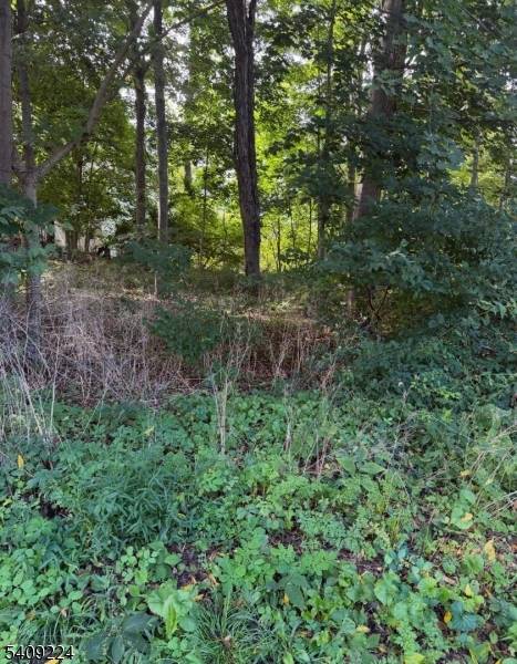 2 Pine Dr, Liberty Twp., NJ 07823