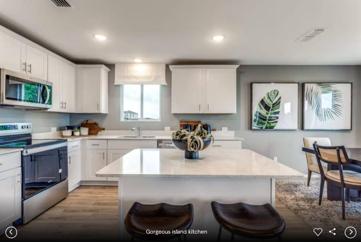5217 Monarda Mint DR, Austin, TX 78653