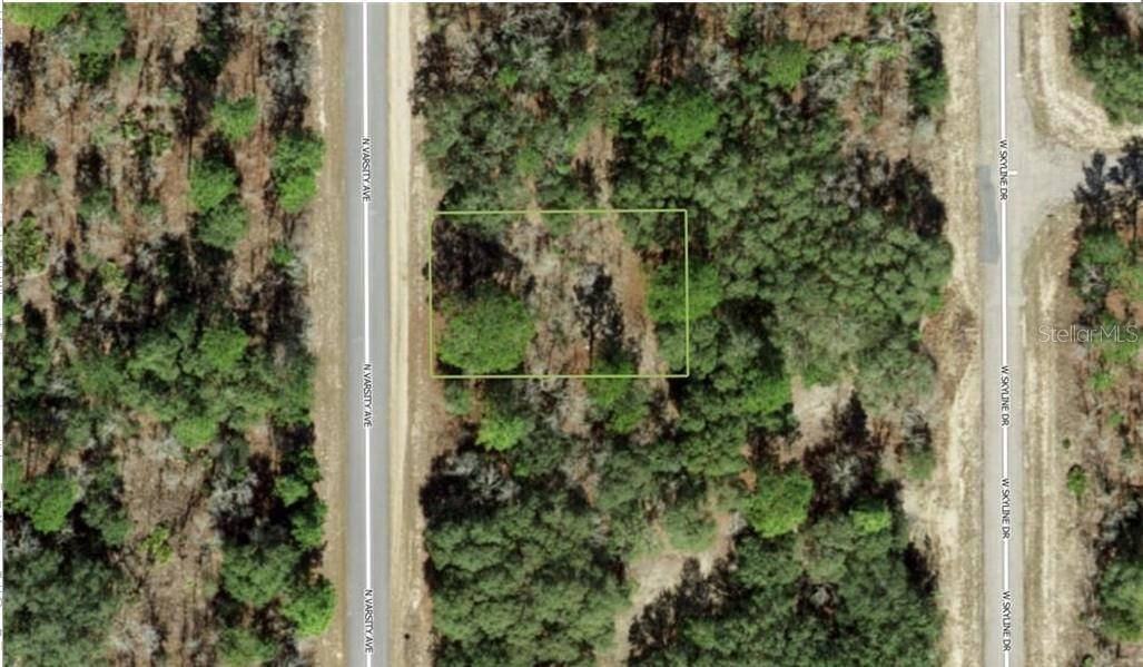 6719 N VARSITY AVE, Citrus Springs, FL 34434