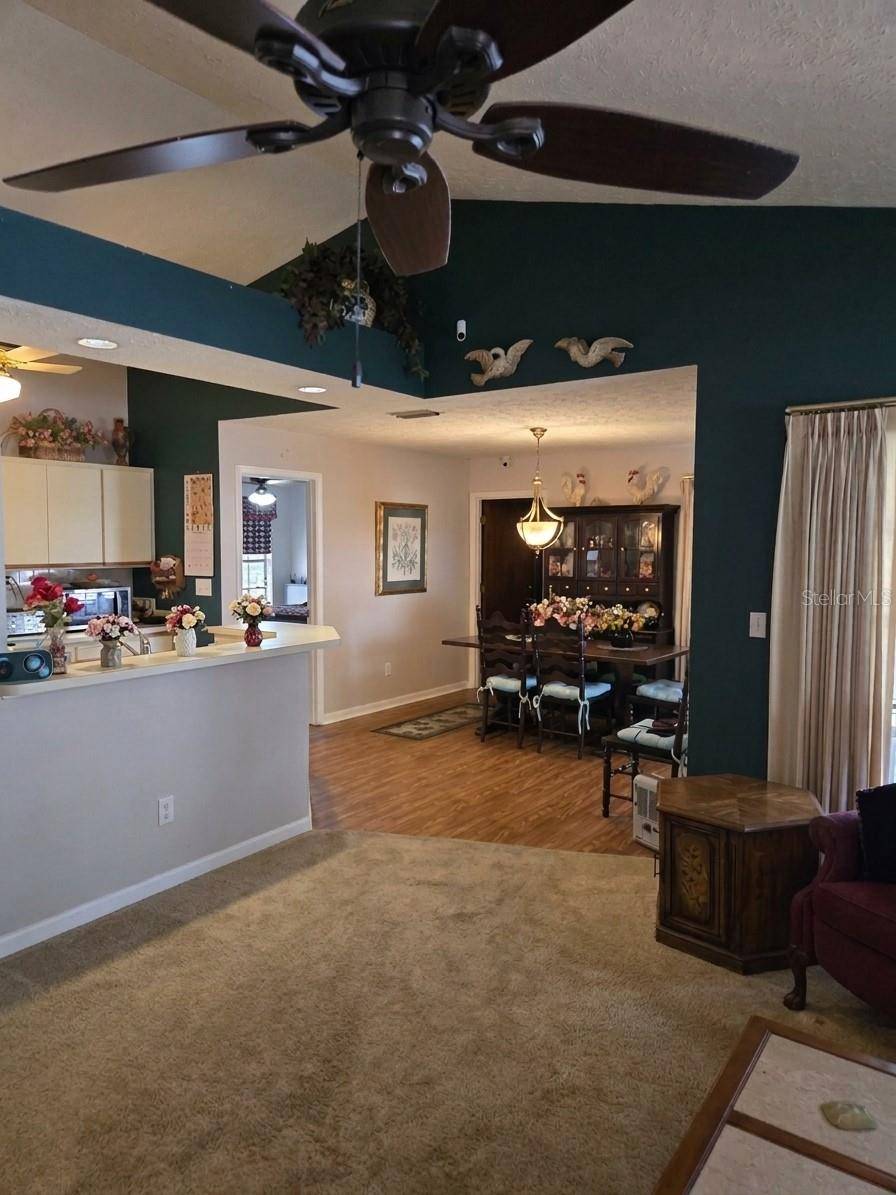 8008 LA SERENA DR, Tampa, FL 33614