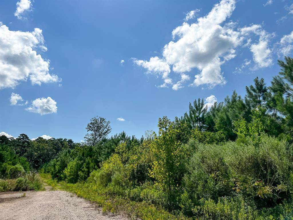 000 FM 1010, Cleveland, TX 77327