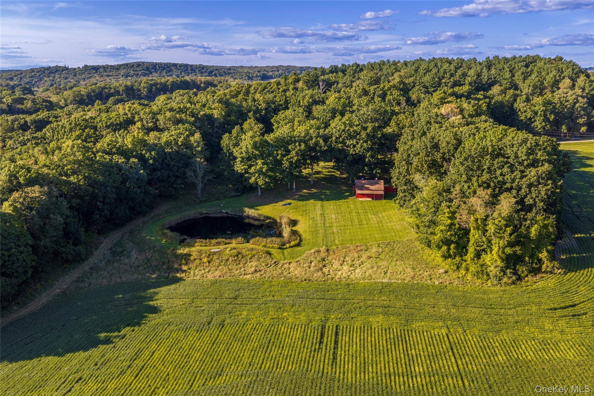 81-85 Fraleigh Hill RD, Millbrook, NY 12545