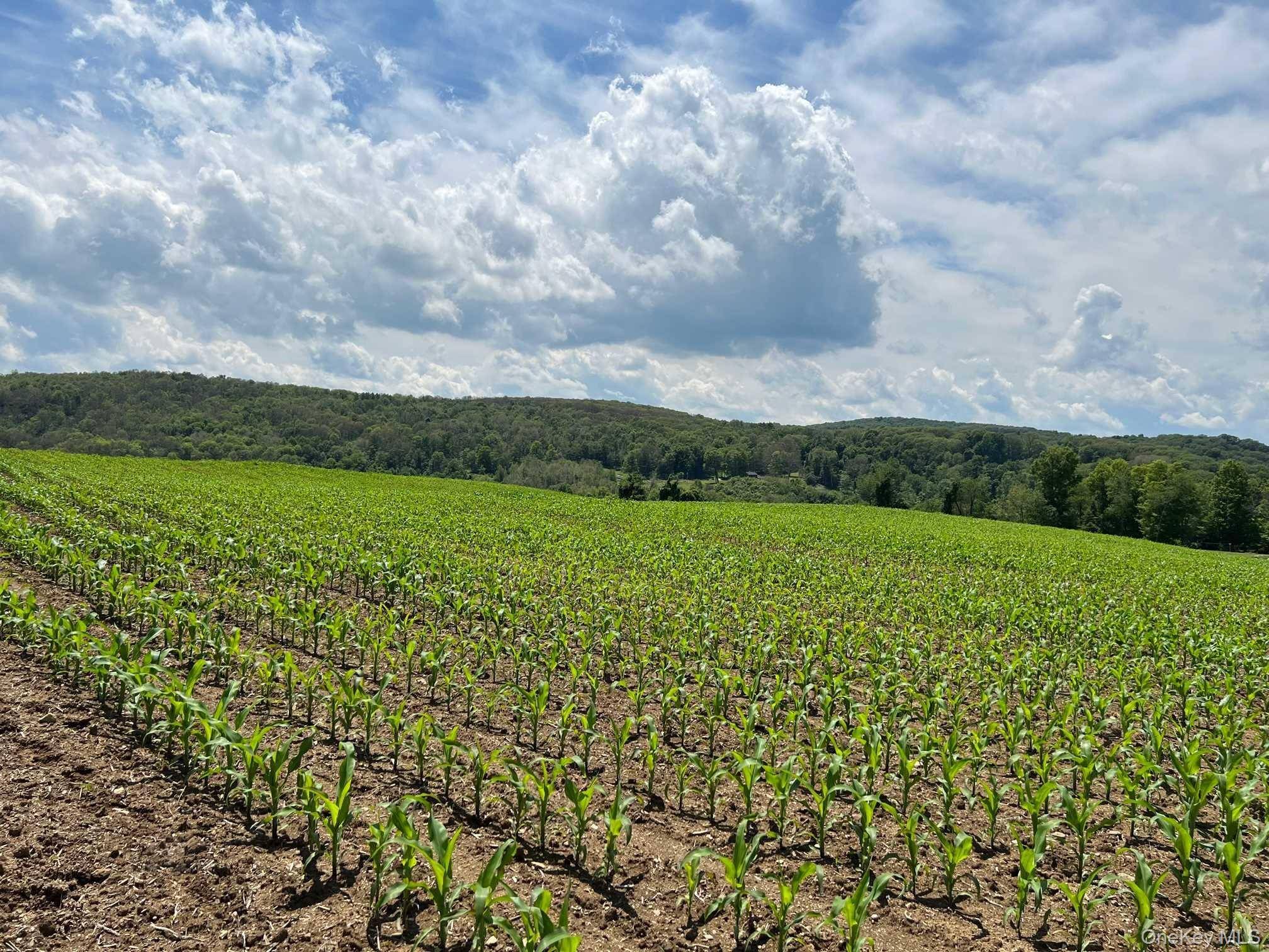 ROUTE 82, Ancramdale, NY 12503