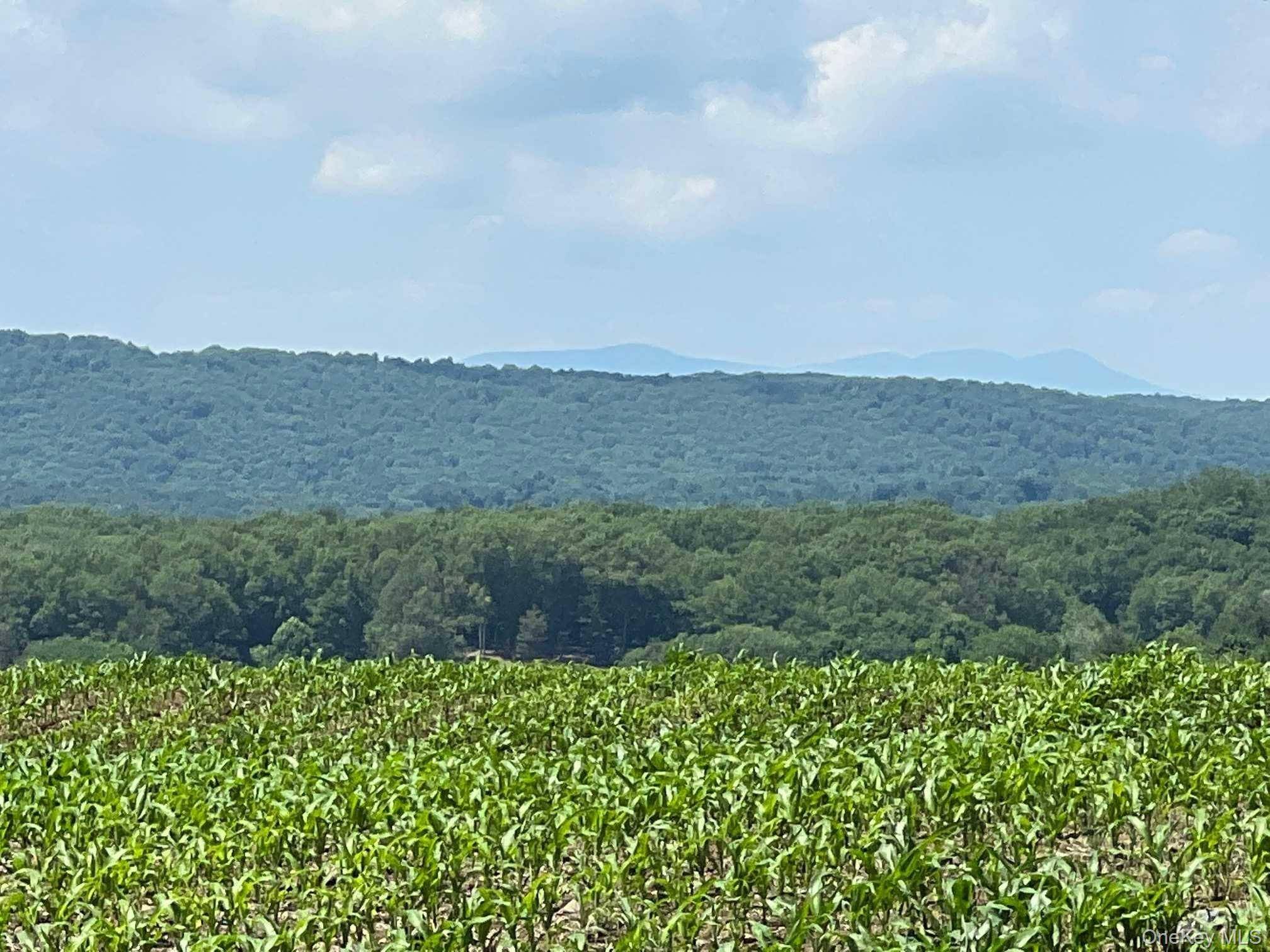 ROUTE 82, Ancramdale, NY 12503