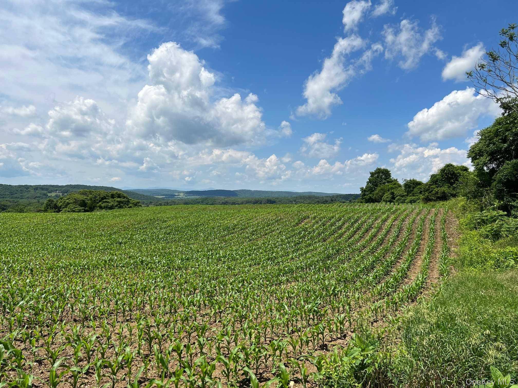 ROUTE 82, Ancramdale, NY 12503