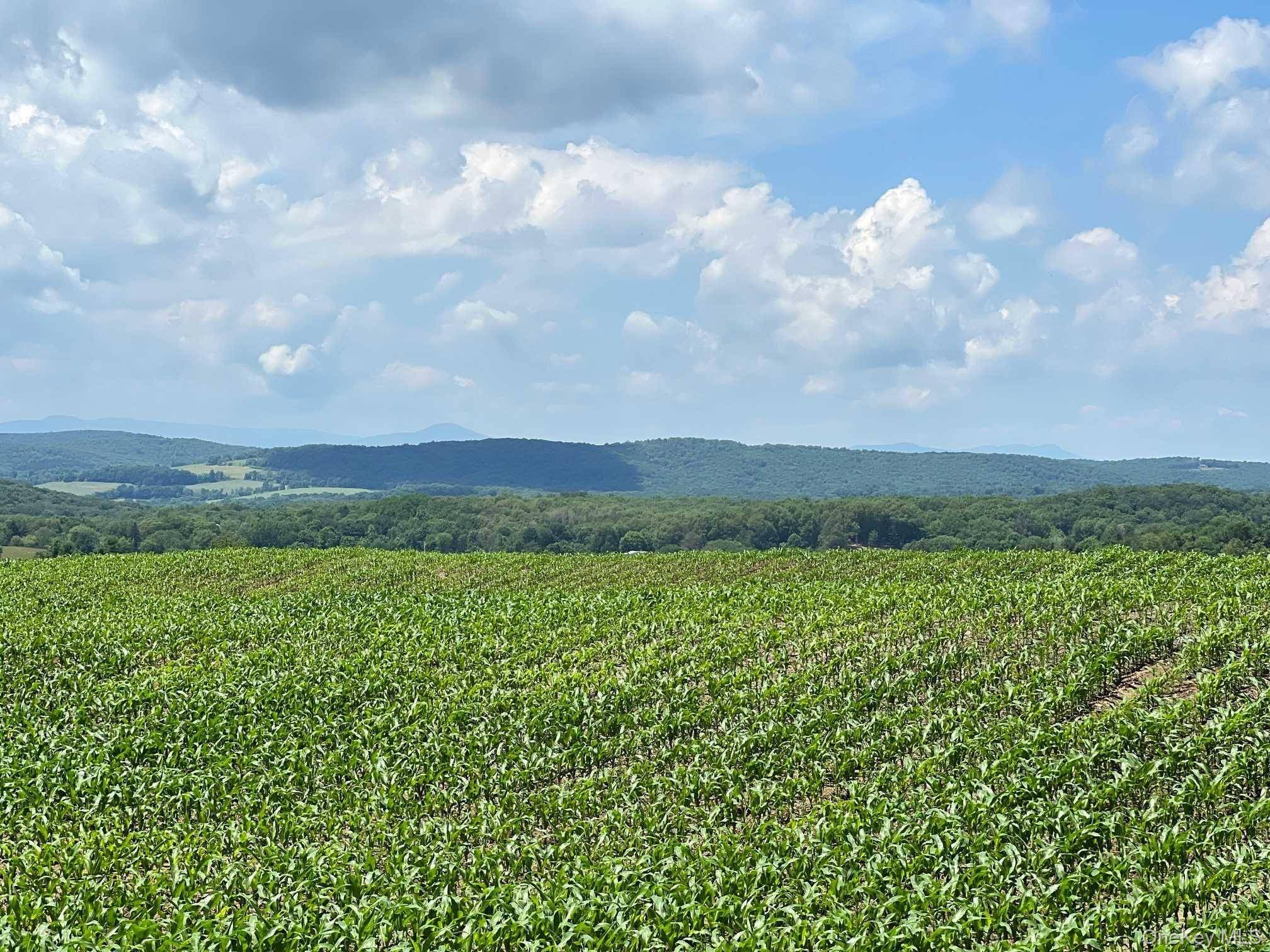 ROUTE 82, Ancramdale, NY 12503